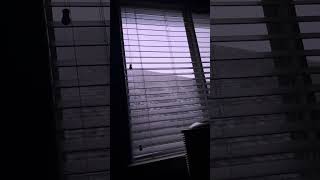 Thunderstorm 5/22/2026
Thunderstorm recorded 5/22/2026 23:50:36—23:56:50. Thunderstorm 5/22/2026