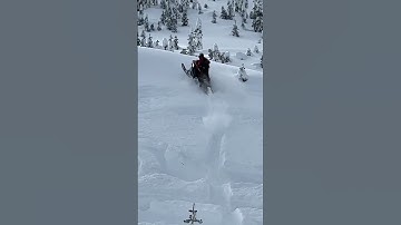 Polaris boost is a mean machine!! #snow #snowmobiling #polaris #freshsnow