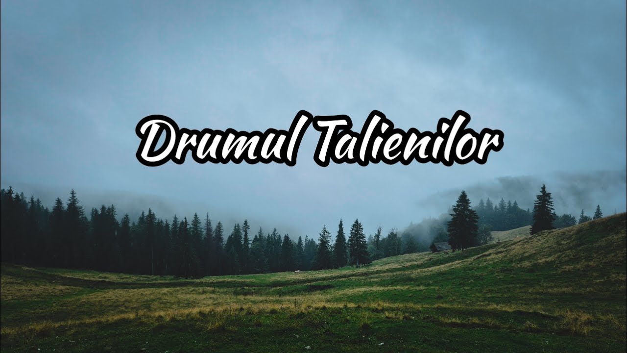 Drumul Talienilor (DJ209B)