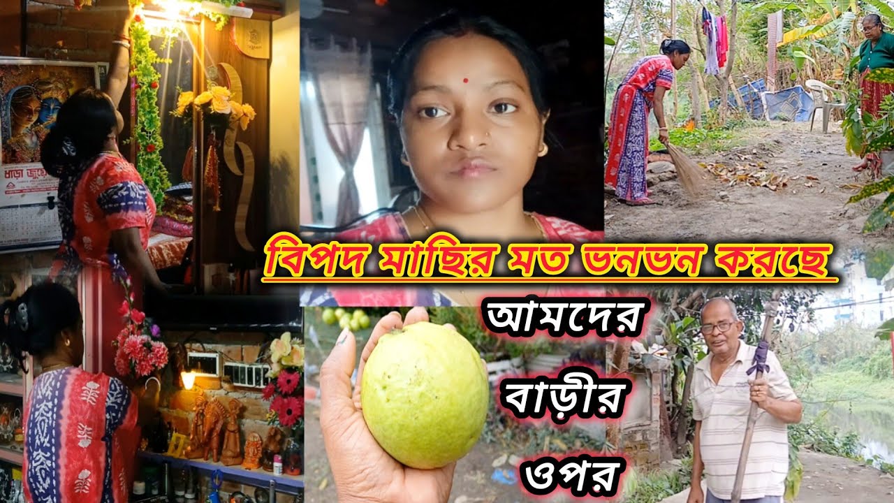 বিপদ মাছির মত ভনভন করছে আমাদের বাড়ির ওপর//আমার ইচ্ছা আখাংকা গুলো চাপা দিয়ে রাখলাম #vlog 