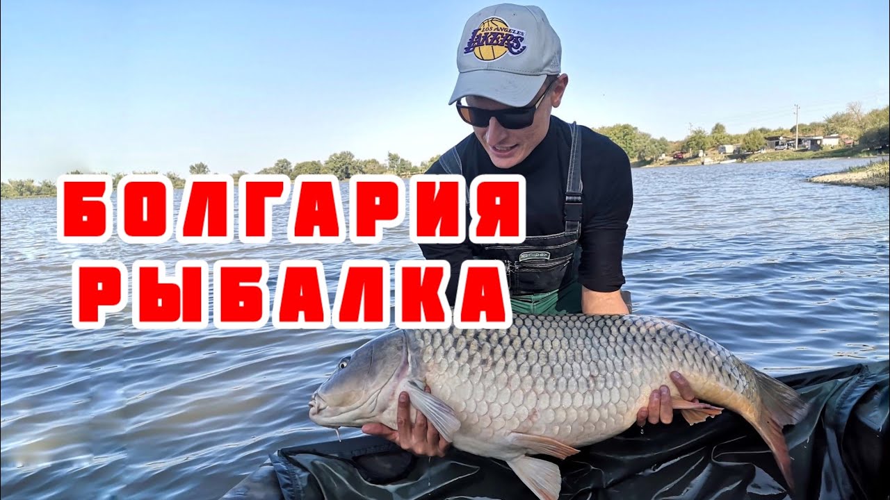 Рыбалка в Болгарии. Карпы рвут подсак. Рыбалка на карпа. Лучшая насадка на карпа.