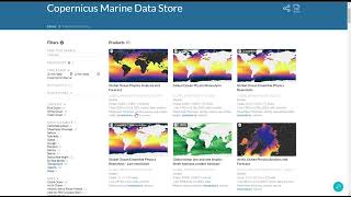 Introducing the new Copernicus Marine Data Store and MyOcean Viewer