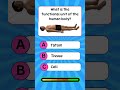 I Bet You Can't Ace This Quiz! (Prove Me Wrong)