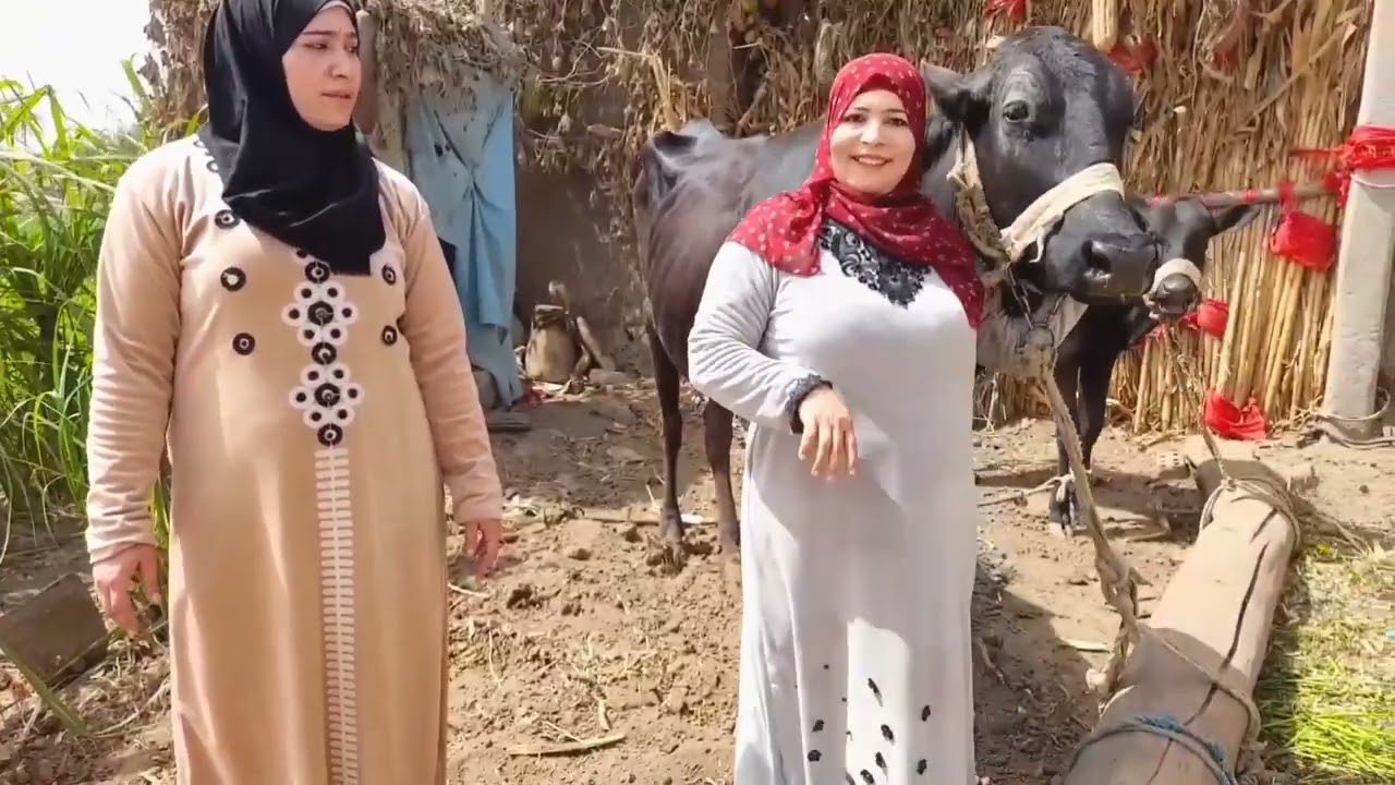 يوميات في الباديه مع ام عبده من الريف رقم 3