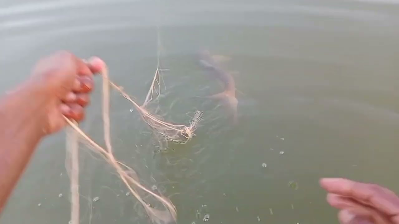 machhali pakdane ki jankari || fishing in sea discovery hindi 