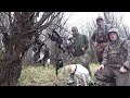 Public Land Duck Hunting In Washington State