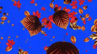 Golden Autumn Leaves 🍂 Relaxing Fall Overlay 🍁 Blue Screen Video 4K