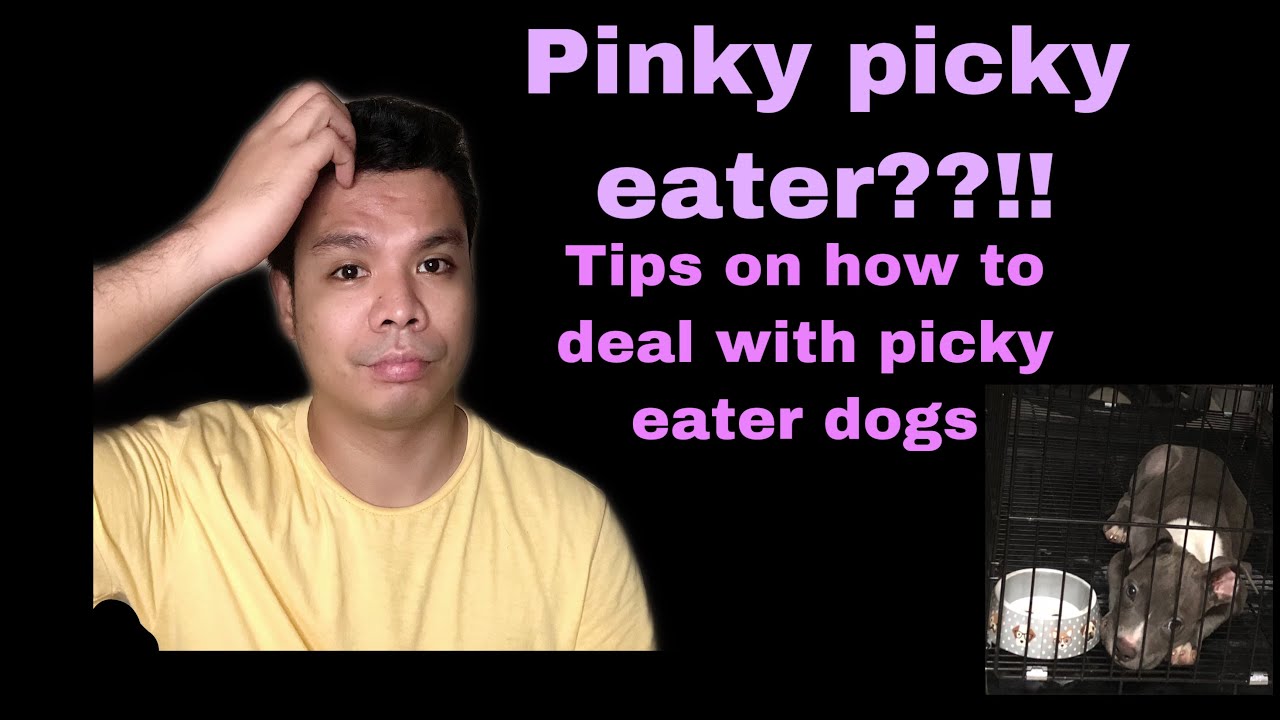 Picky eater - YouTube