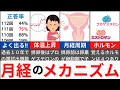【14分で解説、28分で国試問題】生殖器の要！月経のメカニズムについて解説！