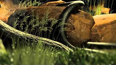 Halloween Intro | VideoHive Templates | After Effects Project Files