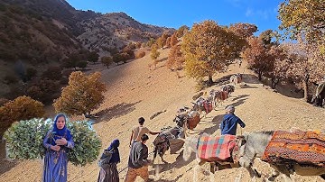 Nomadic migration 🌄