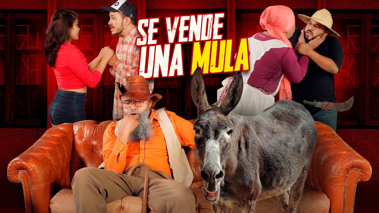 Se vende una mula - Agapito Díaz ( cortometraje ) JR - YouTube