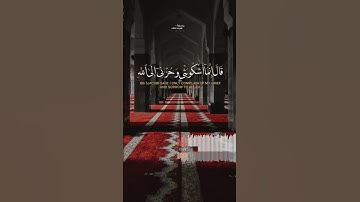 حالات قال انما اشكو بثي وحزني الى الله " القارئ محمد الجوعي