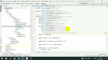 JAVA开发Mybatis框架外部结果集映射之构造器映射的结果29