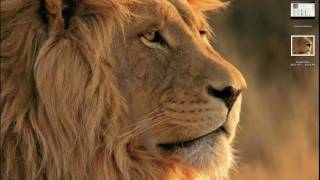 Mac OS X Lion Minor Features