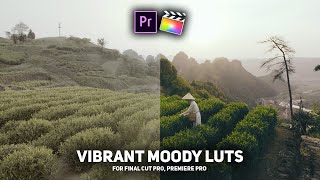 FREE Crazzyy Vibrant Moody LUTs for Premiere Pro, Final Cut Pro, Da Vinci etc.