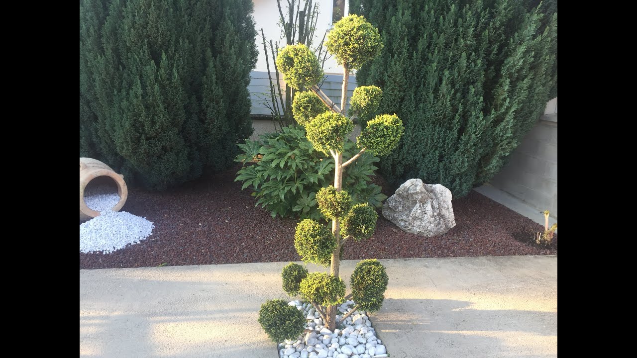 creation topiaire pompon cyprès leyland