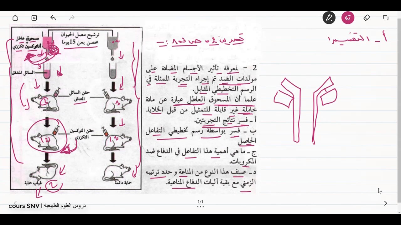 تمرين رقم 03 ص 103 من الكتاب علوم الطبيعة و الحياة BEM