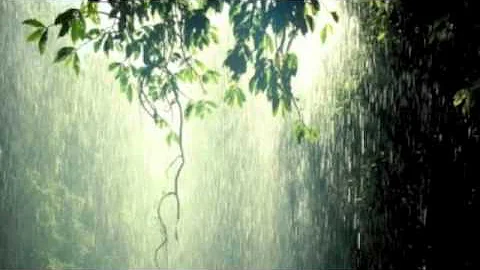 John Paul Miller - Sweet Summer Rain