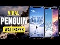 Penguin Wallpaper | Viral Penguin Wallpaper | Penguin wala Wallpaper Kaise Lagaen