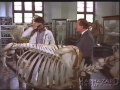 Superhero Films - Ch. 15: 'The Pumaman'
