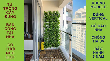 Trồng Cây Ban Công chung cư tại nhà (dạng Cây Đứng) có tưới nhỏ giọt Khung Module Bồ Đào Nha