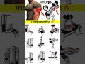 Triceps workout at gym/ Best triceps workout/ #viral #tranding #fitneess #short #yt