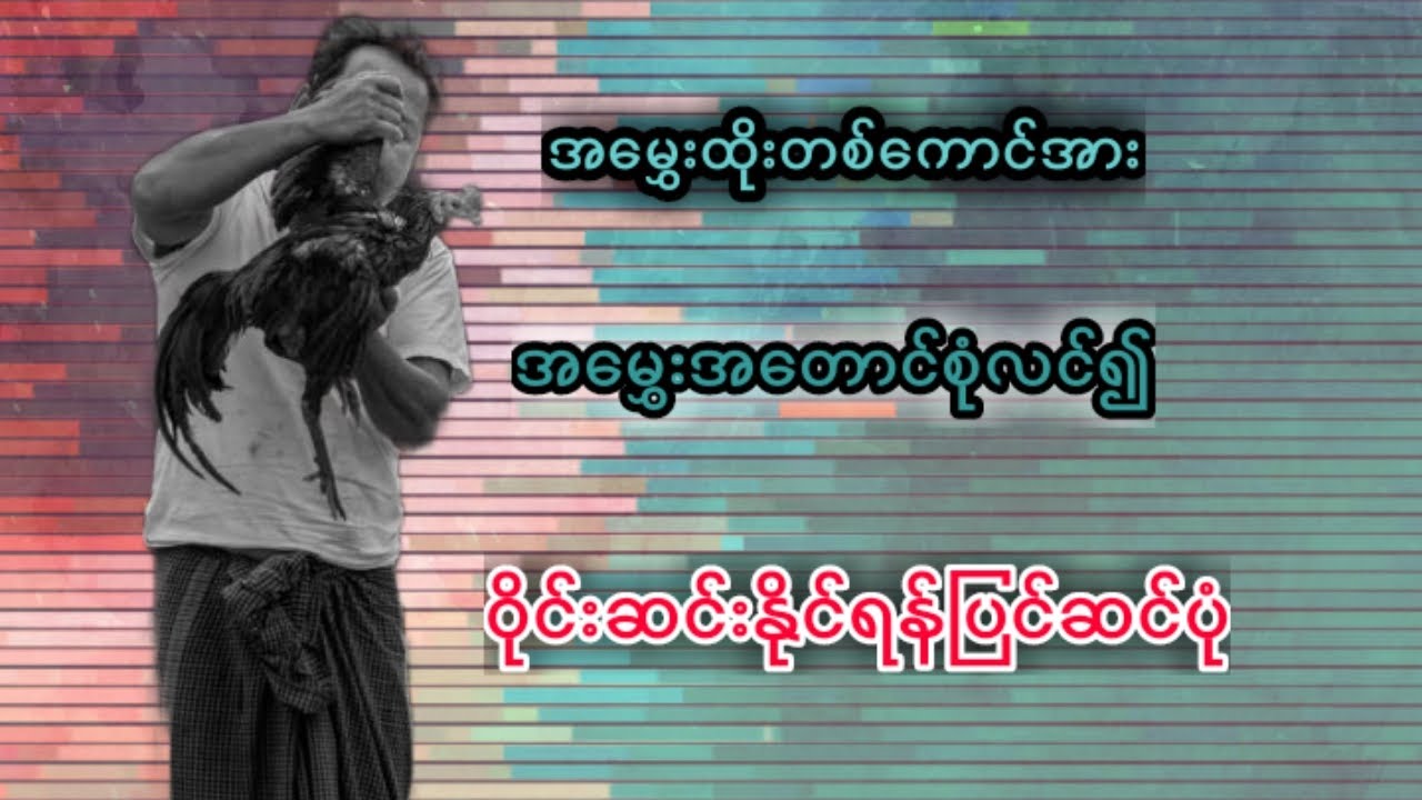 မွေးထိုးတစ်ကောင်ဝိုင်းဆင်းနိုင်ရန်ပြုပြင်ခြင်း