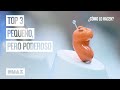 Así se hacen esos diminutos y sorprendentes productos | ¿Cómo lo hacen?