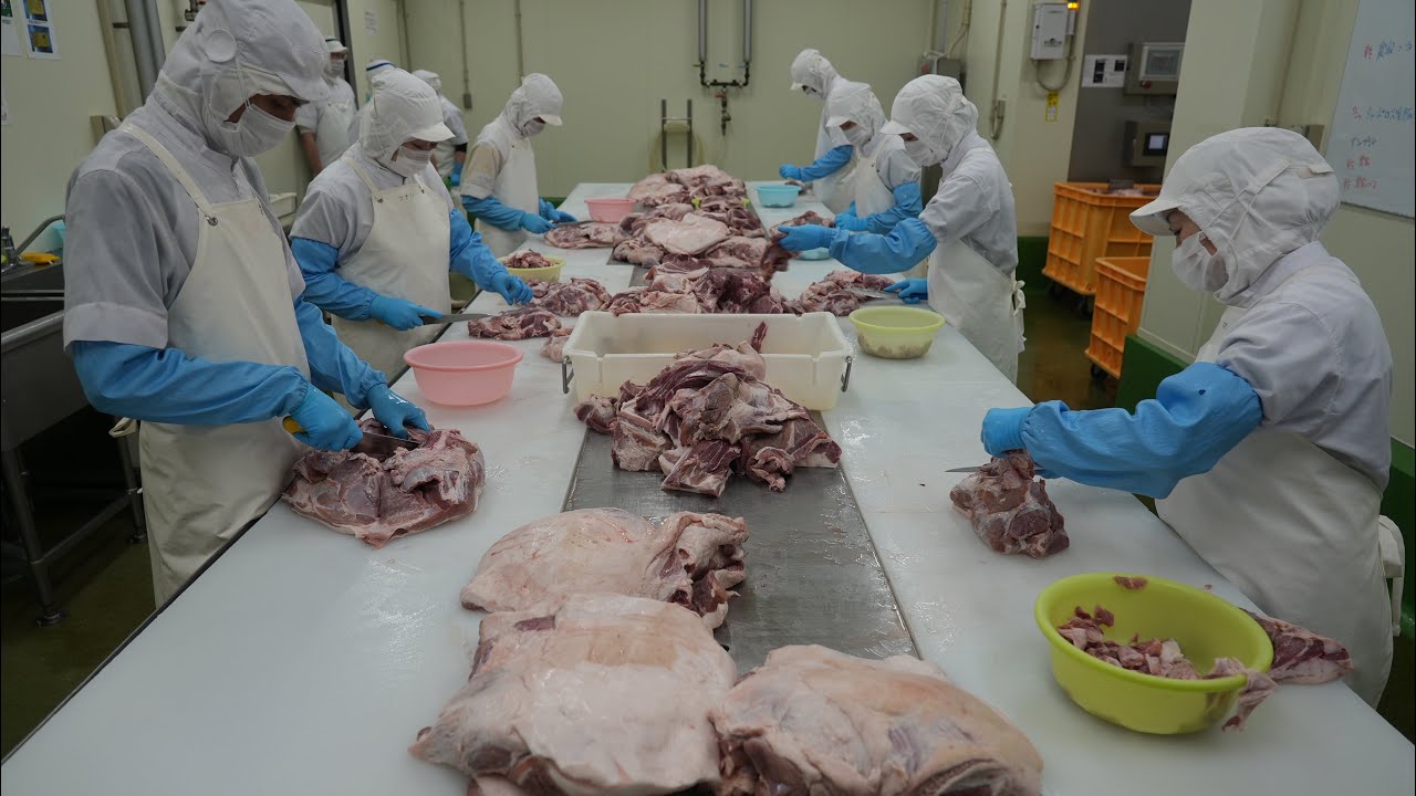 シュワっと弾ける肉汁の秘密！誰もがハマる日本のウインナー工場、驚異の製造全工程