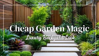 Genius Minimal Budget Garden 💡 Affordable Landscaping Ideas That Look Expensive