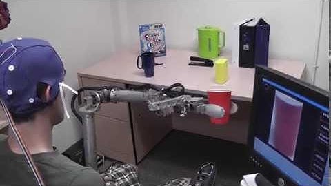 Brain Robot Interface