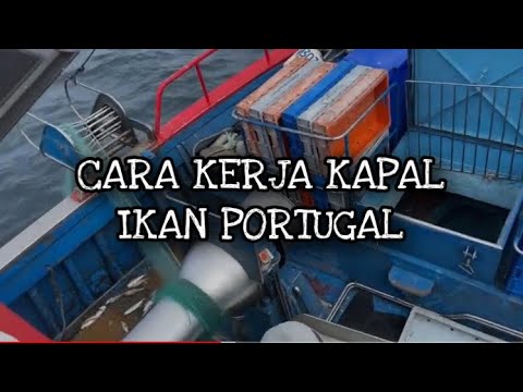 Video: Bagaimana Berangkat Ke Portugal