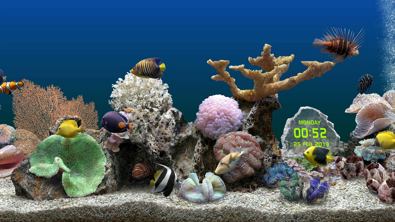 Marine aquarium. Морской аквариум. Дино в морском аквариуме. Скринсейвер аквариум для Windows 10. Marine Aquarium Screen Saver.