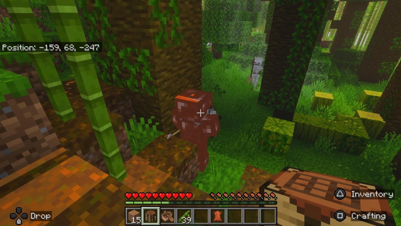 SKELETON VS SKELETON FIGHT WHO WILL WIN?