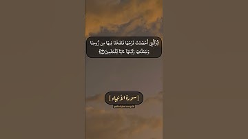 سورة الأنبياء الآية ٩٠ الى ٩٢ بصوت الشيخ محمد صديق المنشاوي