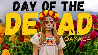 DAY OF THE DEAD IN OAXACA CITY 🇲🇽 (what it's really like)