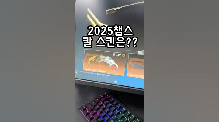 2025 챔스 칼 스킨은 뭘까요??