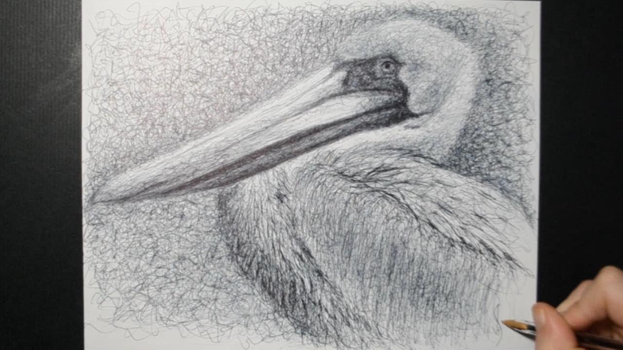 Drawing a Pelican / Ballpoint Biro Pen / Scribble Art Therapy / Day 059