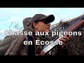 La fièvre bleue en Ecosse part 1