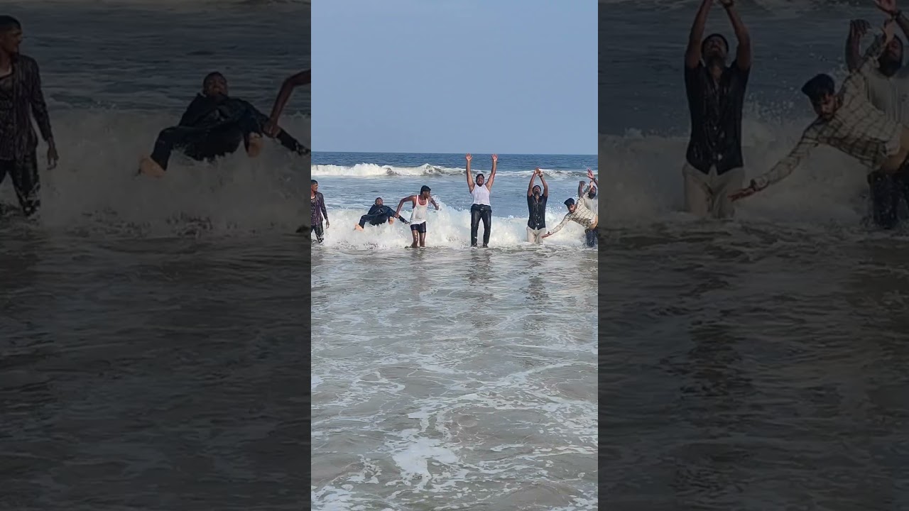 Humans and Dogs at the Beach 