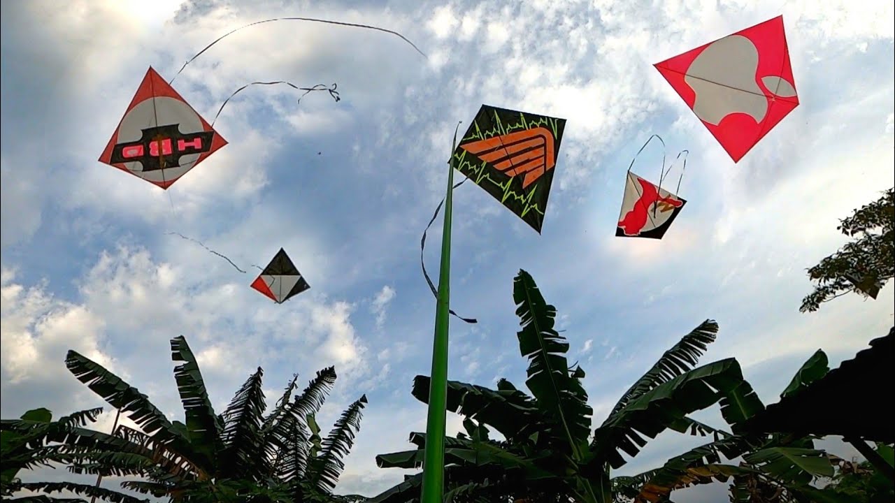 2 HARI MENGEMBARA BERBURU LAYANGAN PALING LANGKA DI DUNIA