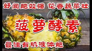 菠萝酵素 | 環保酵素 - 最佳有机液体菌肥