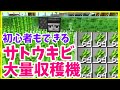 【マイクラJava版1.19】低コストで大量 サトウキビ自動収穫機作り方 まあクラ 【ゆっくり実況】