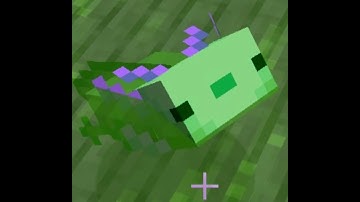 How To Get a Blue Axolotl | Minecraft Survival Tip | #Shorts
