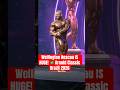 Wellington Nescau Posing Routine | 2026 Arnold Classic South America #bodybuilding