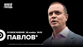 Логика Минюста. Дело Беркович и Петрийчук. Иван Павлов*: Особое мнение // 28.11.23