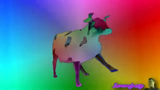 Dancing Polish Cow Effects In Mari Group