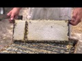 Honey NZ Bee Keeping Manuka Honey