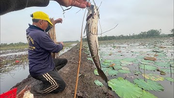 Cấm Câu Đêm Trúng Mánh Cá Lóc #23